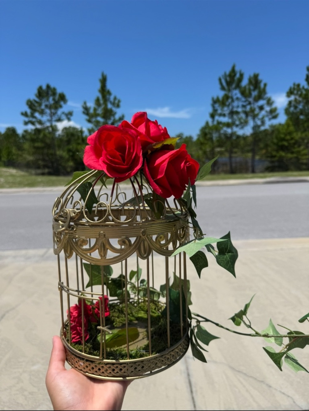Gold Decorative Birdcage with Red Rose Accents